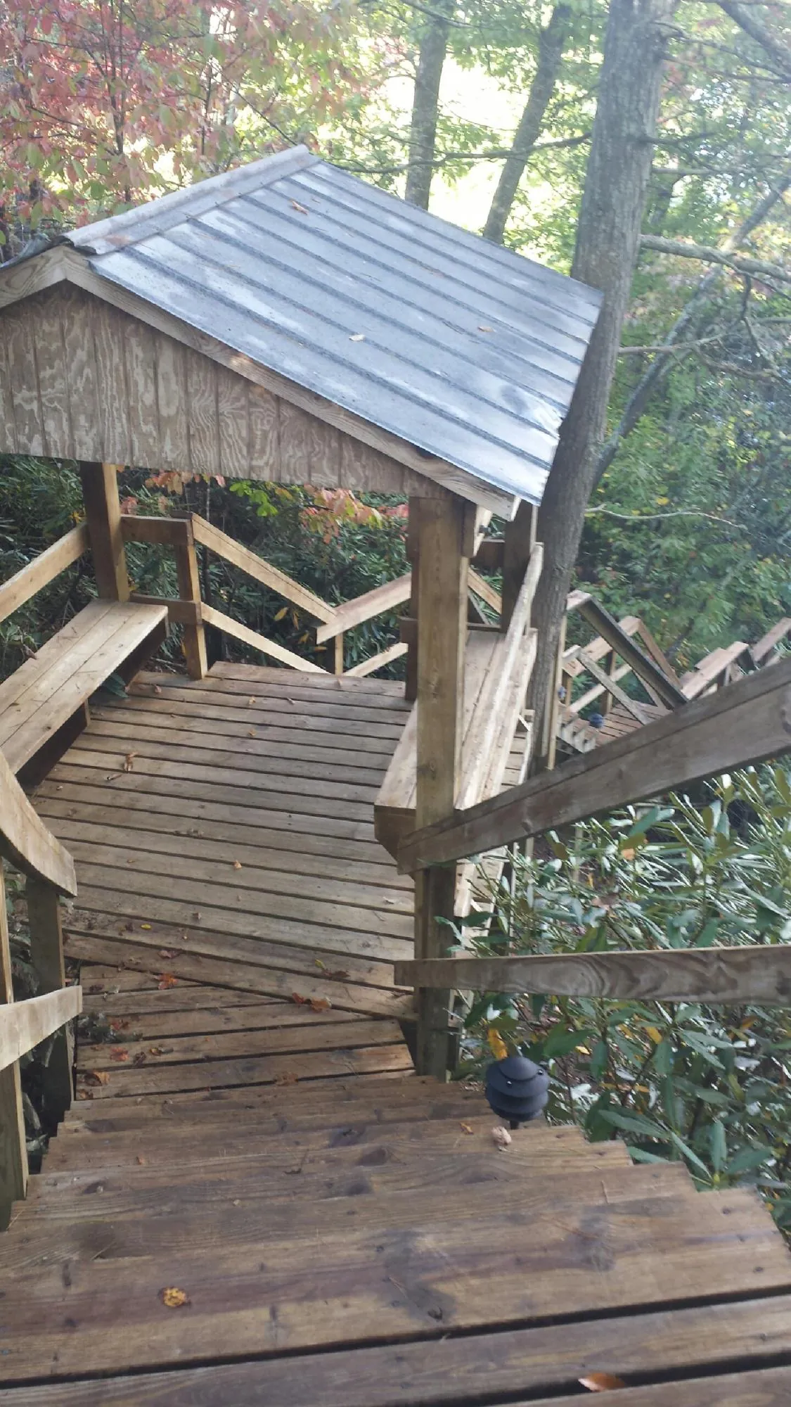 Metal roofed shelter over wooden steps on a wooded walkway — Skylight Repair & Installation work by our crew in Raphine